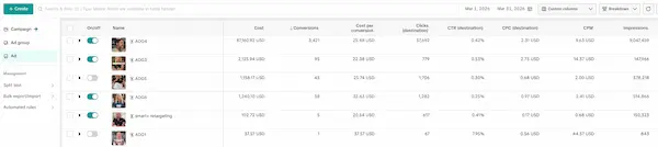 VetComm TikTok ads dashboard